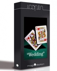 Le mariage DVD Weddin  ( Bruno Copin) ****