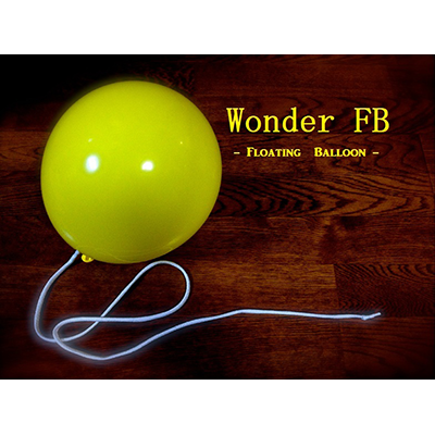 Wonder Floating Balloon