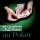 méthodes pour tricher au poker - Allan Zola Konzek ( livre )