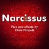 Narcissus - Chris Philpott's
