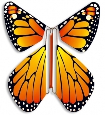Papillon Magic Flyer ( l'unit)