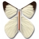 Papillon Magic Flyer ( l'unit)